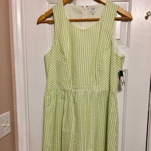 Crown & Ivy Green & White Spring Dress Sz10 Easter